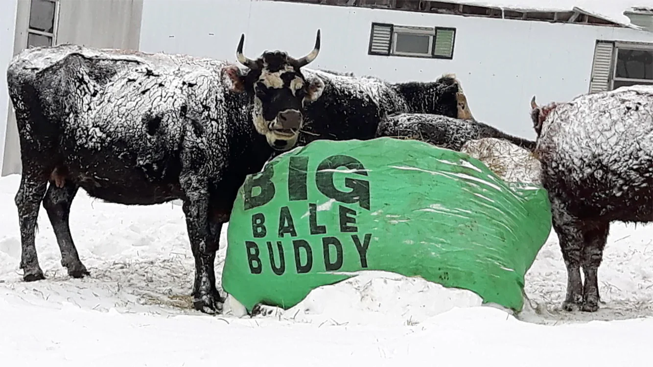 Big Bale Buddy - Image 2