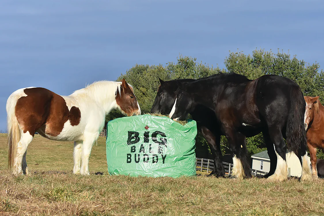 Big Bale Buddy - Image 6