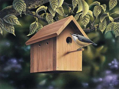Bird Houses & Feeder, E-Plan