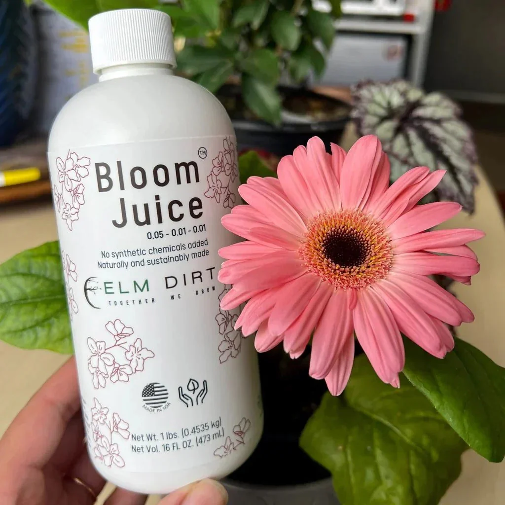 Bloom Juice Award-Winning Formula - Image 11