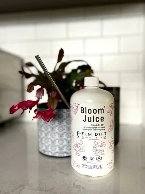 Bloom Juice Award-Winning Formula - Image 12