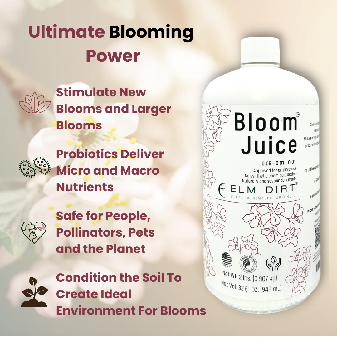 Bloom Juice Award-Winning Formula - Image 3