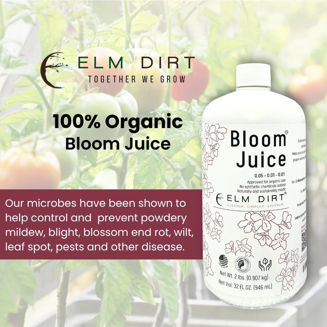 Bloom Juice Award-Winning Formula - Image 4