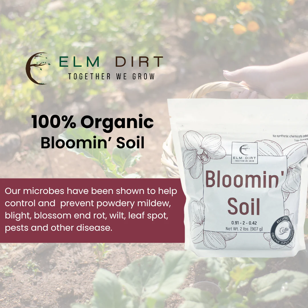 Bloomin' Soil Organic Flower Booster - Image 3