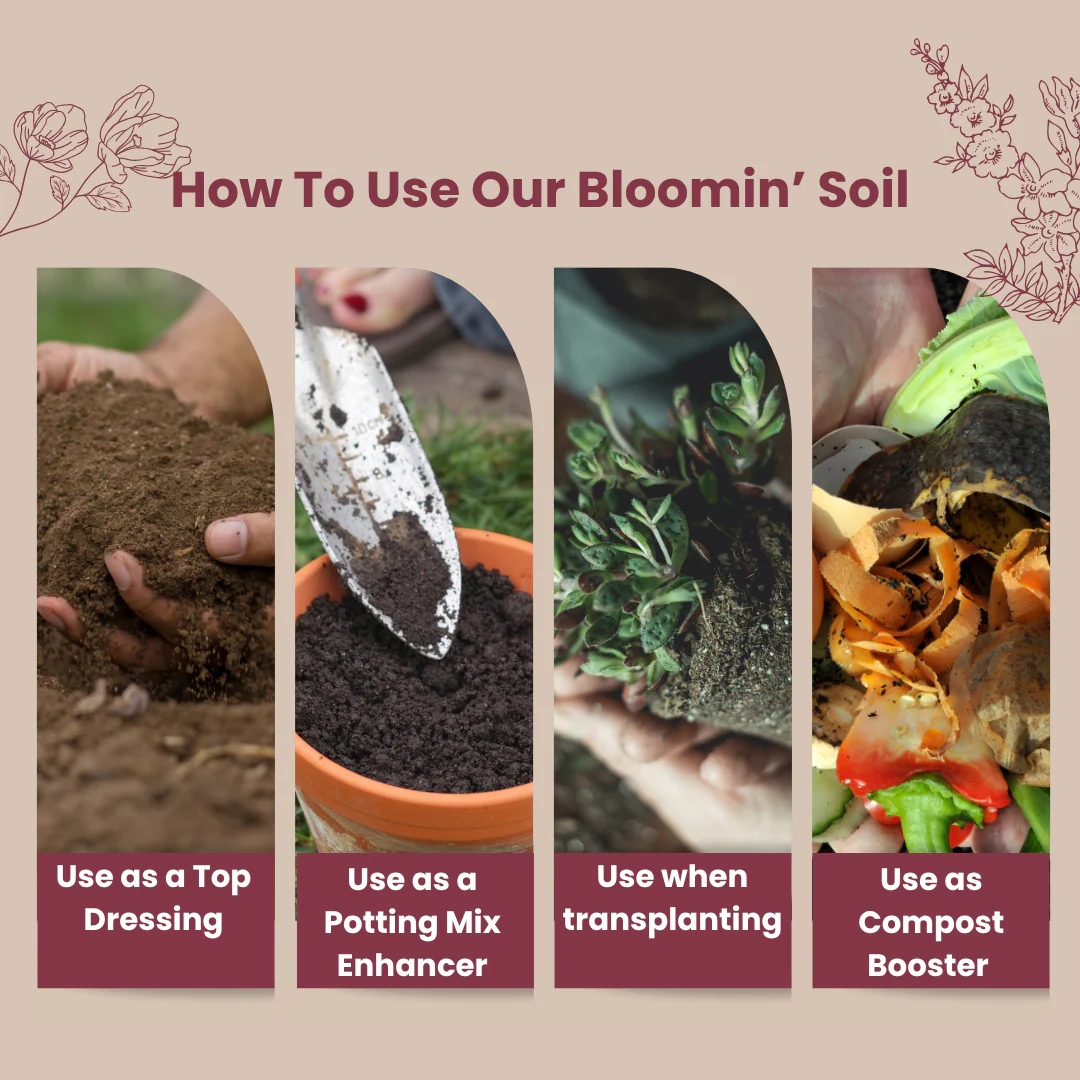 Bloomin' Soil Organic Flower Booster - Image 4