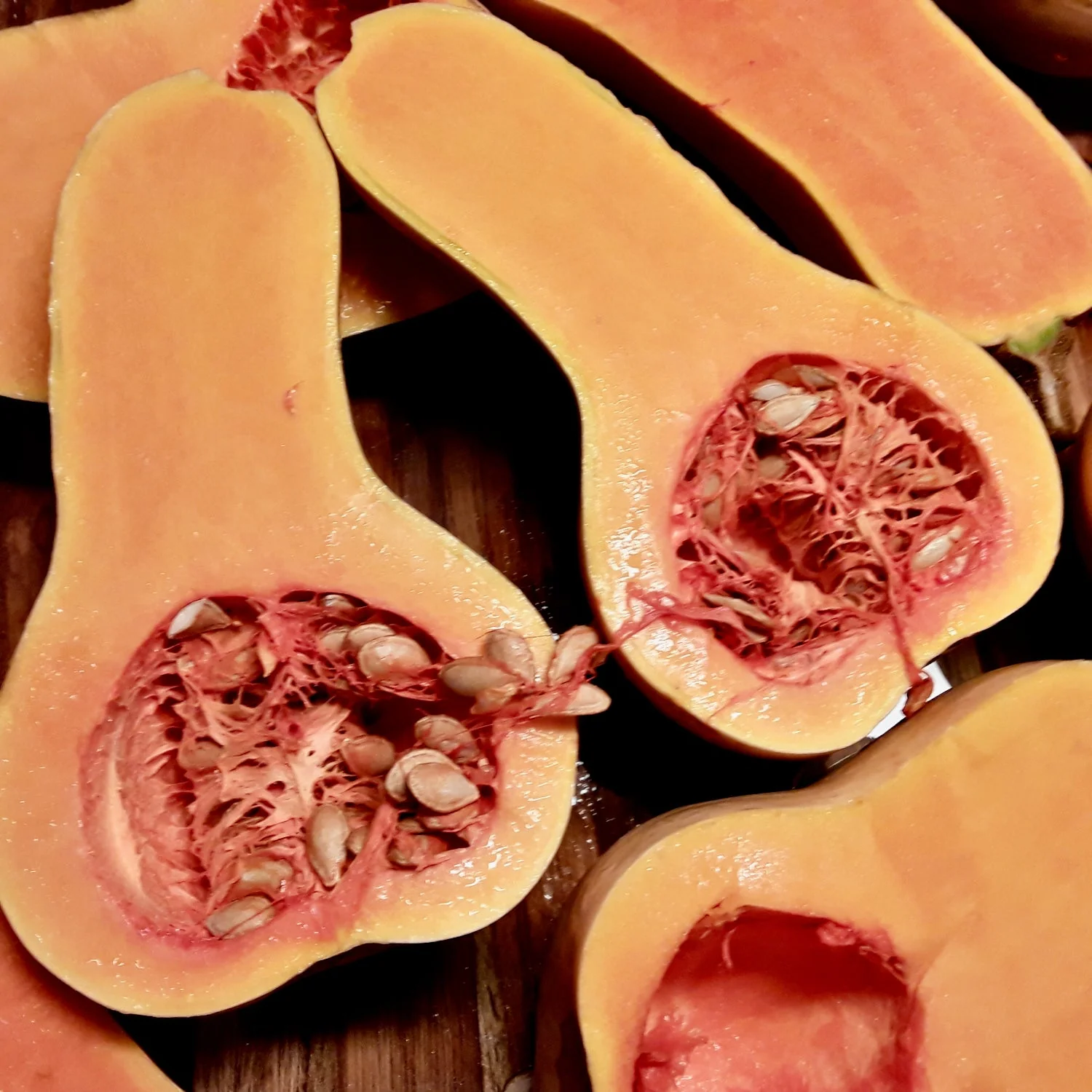 Butternut Squash Landrace - Image 2