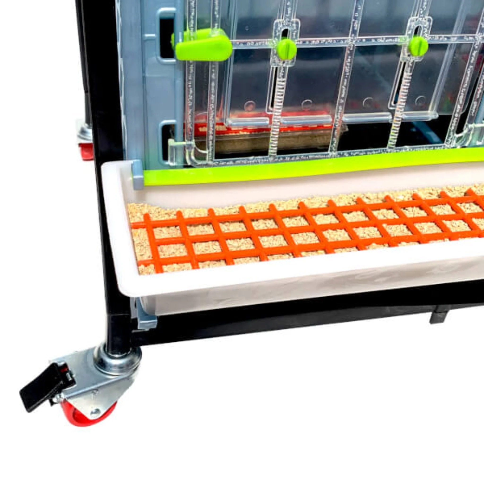 Chick Brooder - 1 Layer H: 15" - Image 5