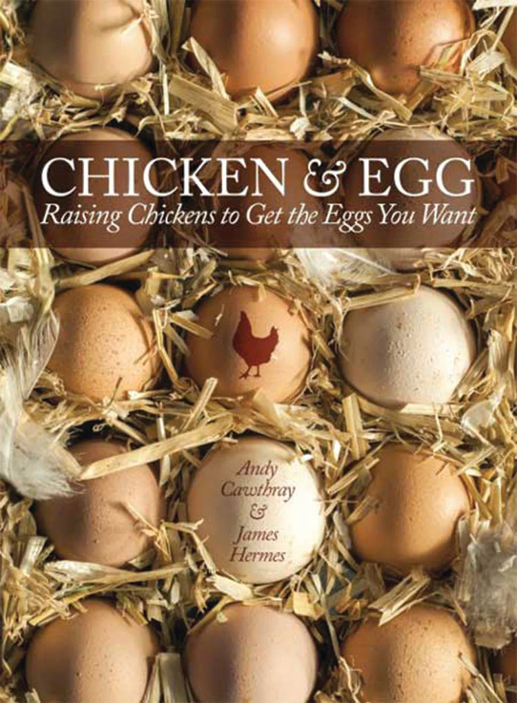Chicken & Egg