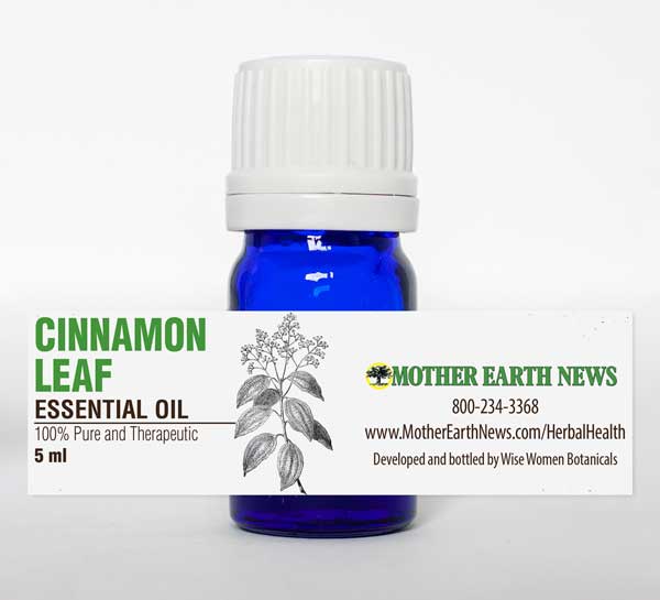 Cinnamon Leaf Essential Oil - Image 2