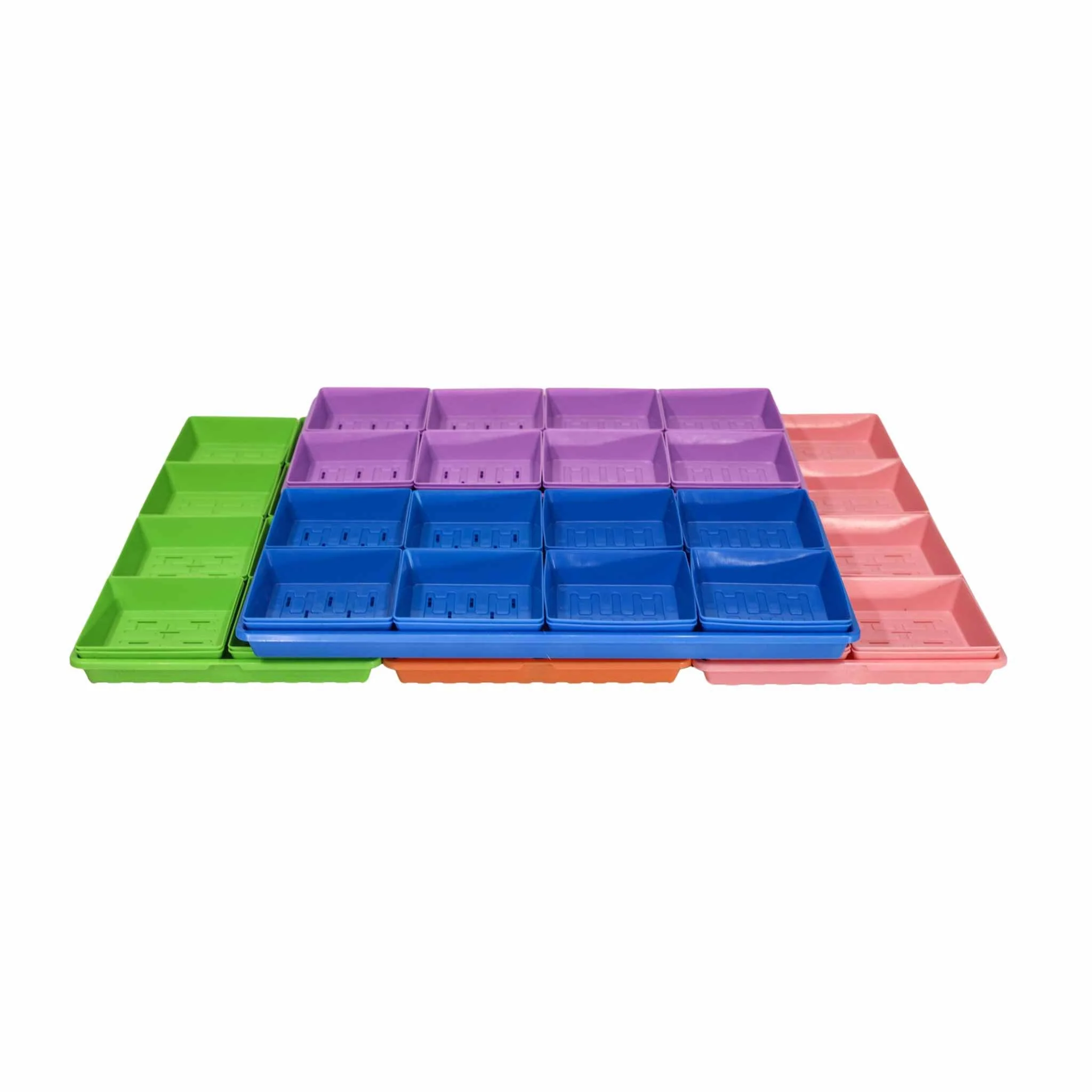 Classroom Microgreens Bundle - Image 5