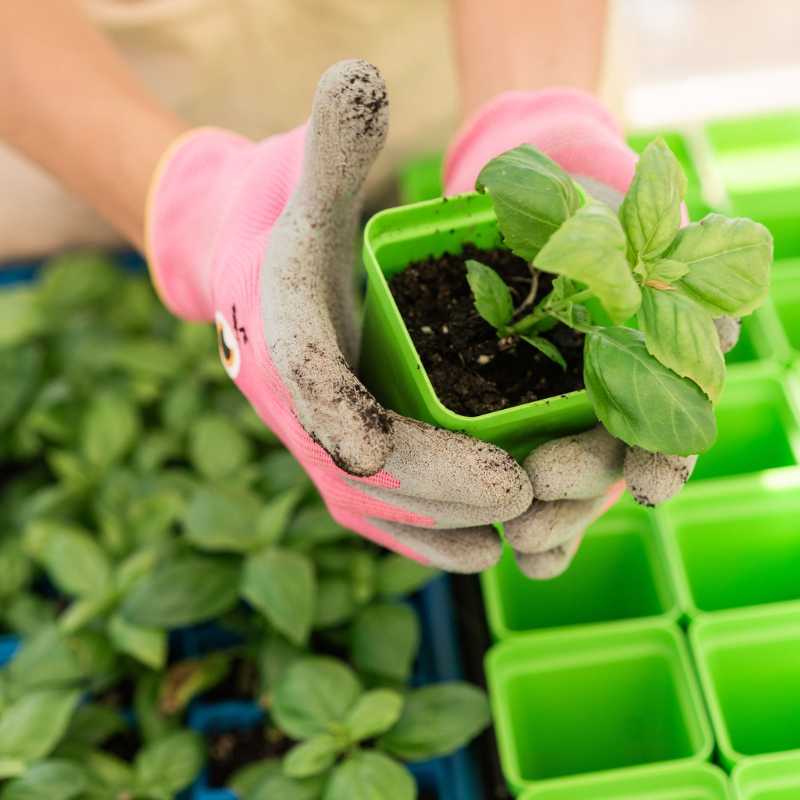 Classroom Seed Starting Bundle - Image 10