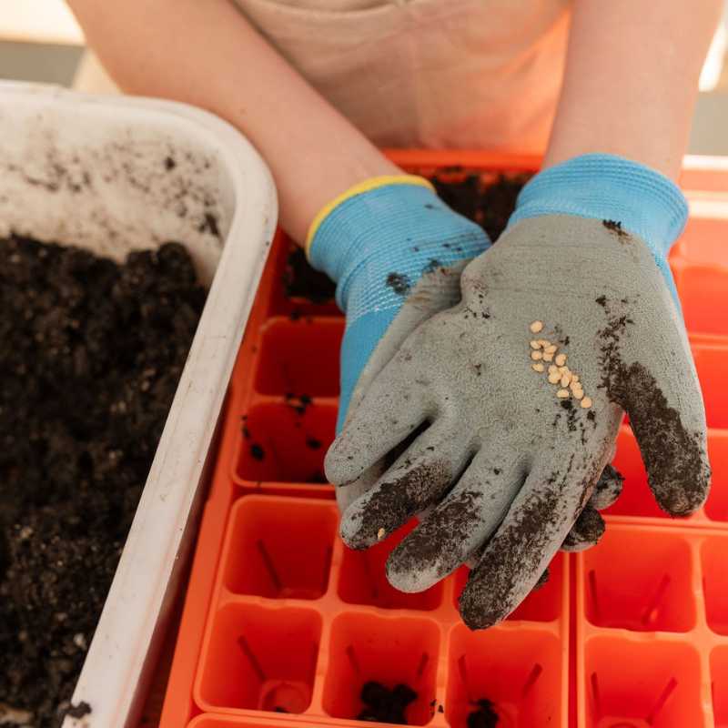 Classroom Seed Starting Bundle - Image 2