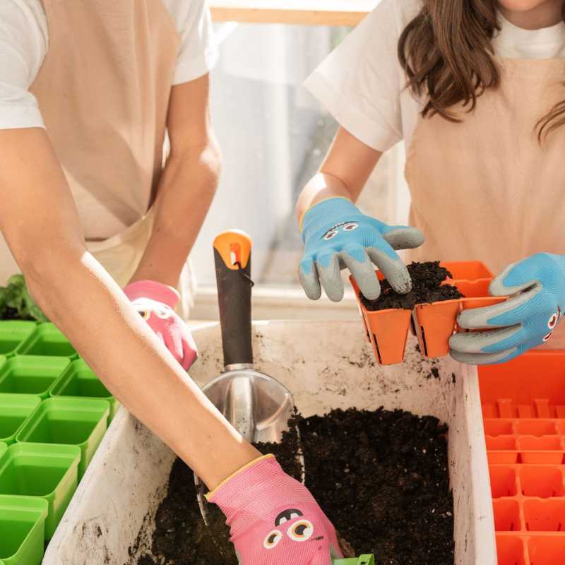 Classroom Seed Starting Bundle - Image 5