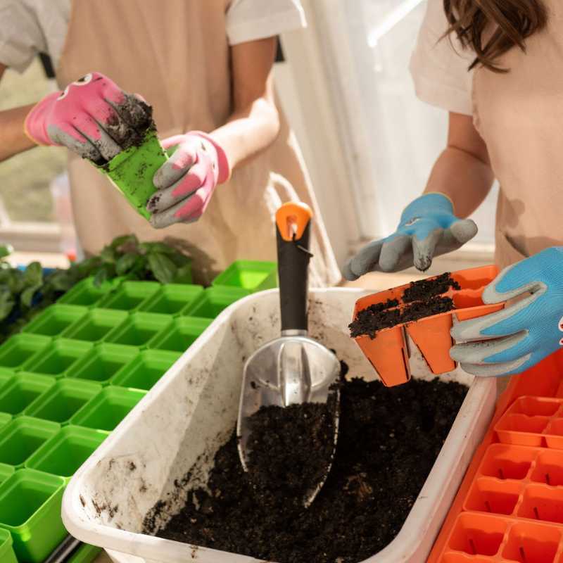 Classroom Seed Starting Bundle - Image 6