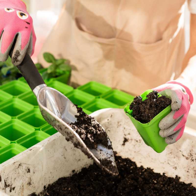 Classroom Seed Starting Bundle - Image 9