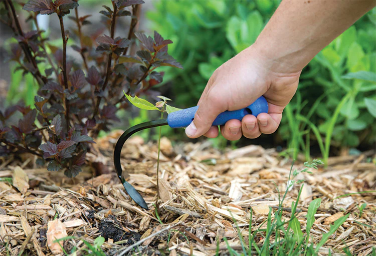 Ogden Cobrahead Mini Weeder & Cultivator Garden Tool - Image 6