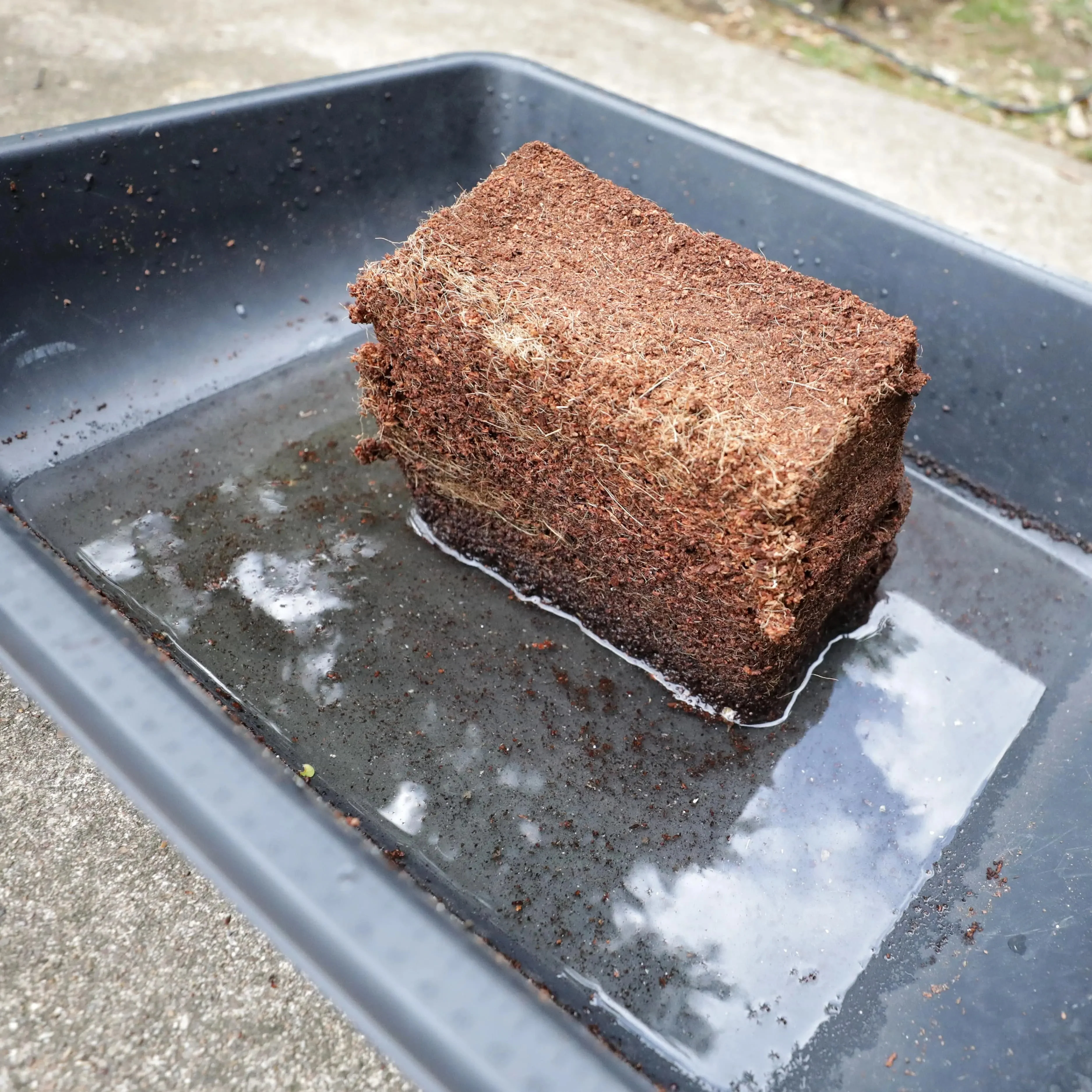 Coco Coir Brick - Image 4