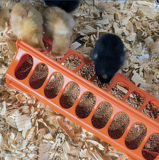 Columbia 12 Trough Feeders - Orange - Image 3