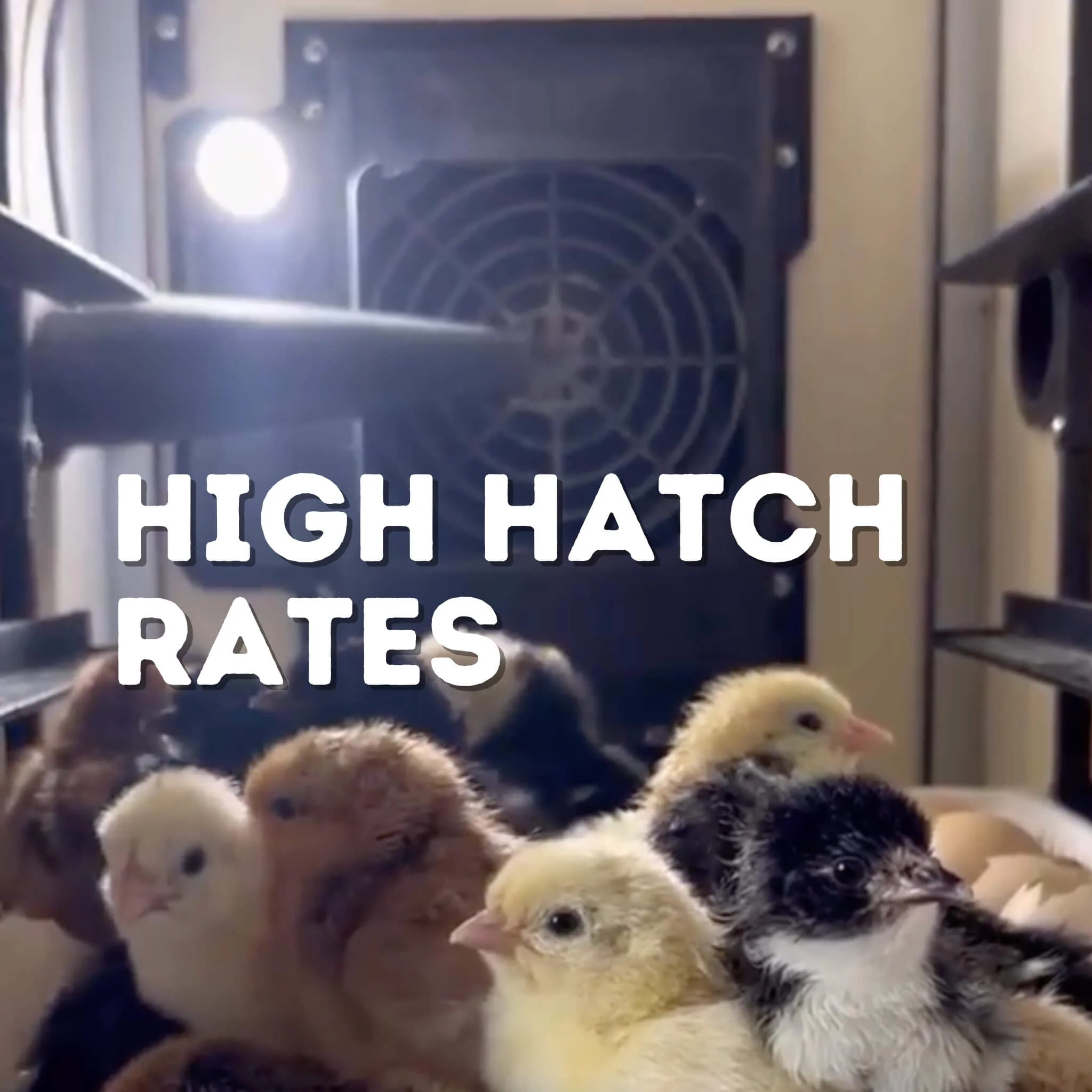 CT180 H - Egg Hatcher Only Automatic Poultry Hatching Machine - Image 9