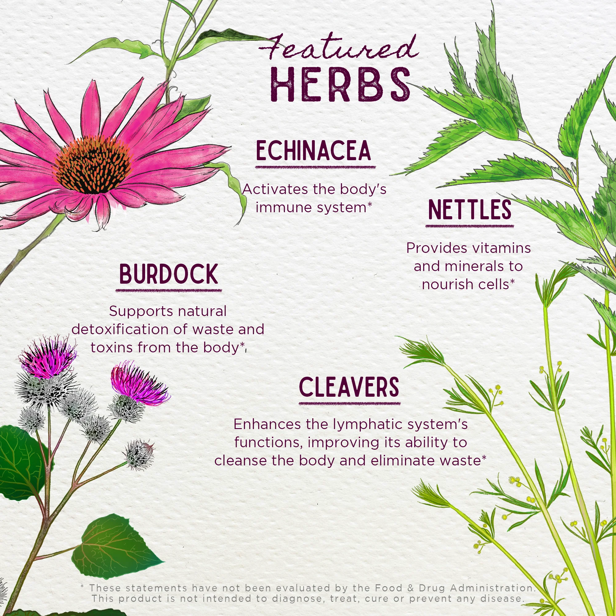 Daily Immune Builder - Image 5