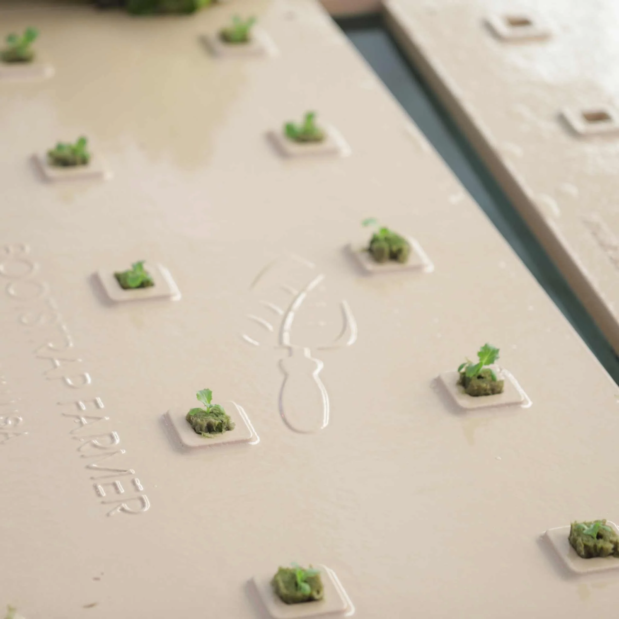 Deep Water Greens Raft - Image 7