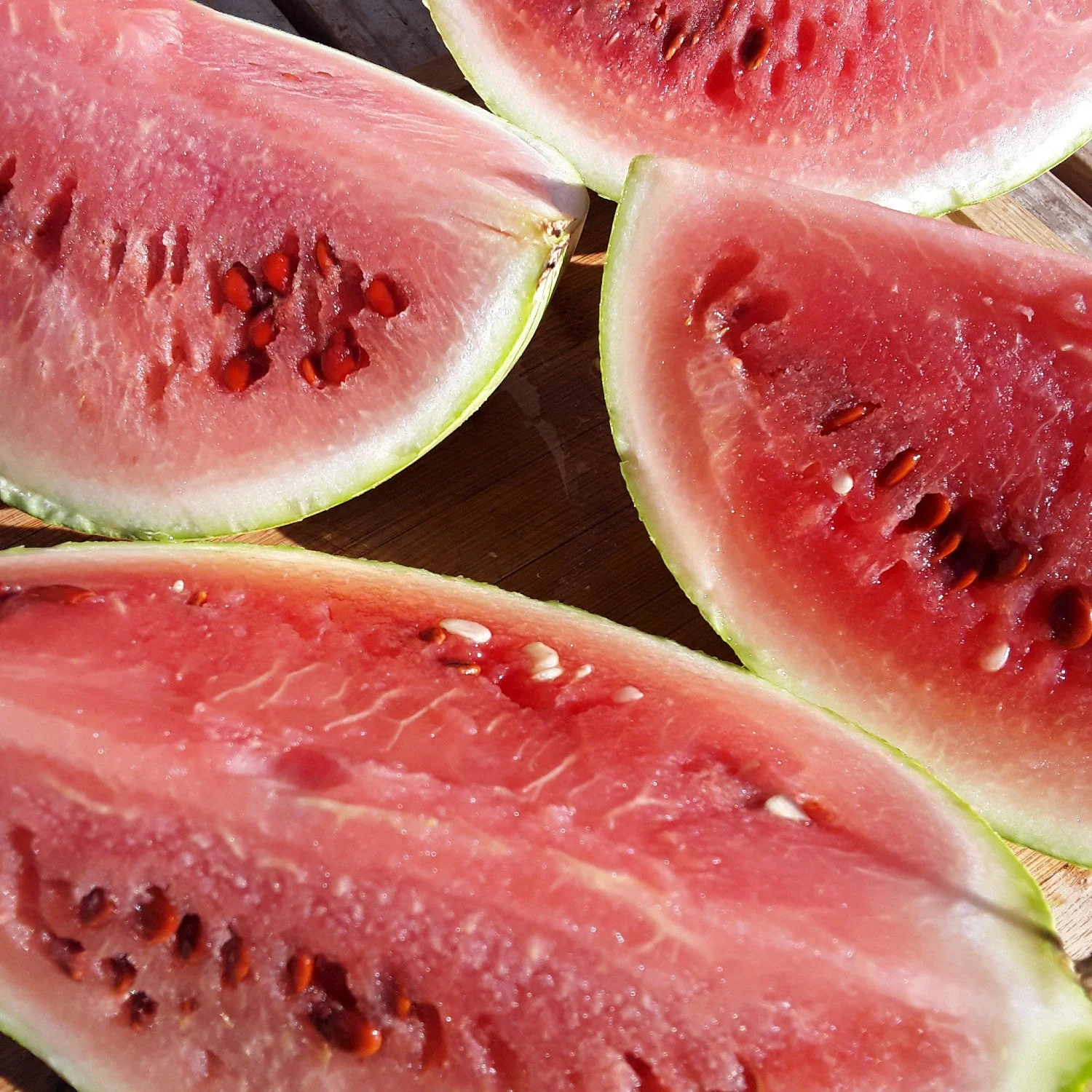 Diné Origin Sweet Storage Watermelon - Image 4