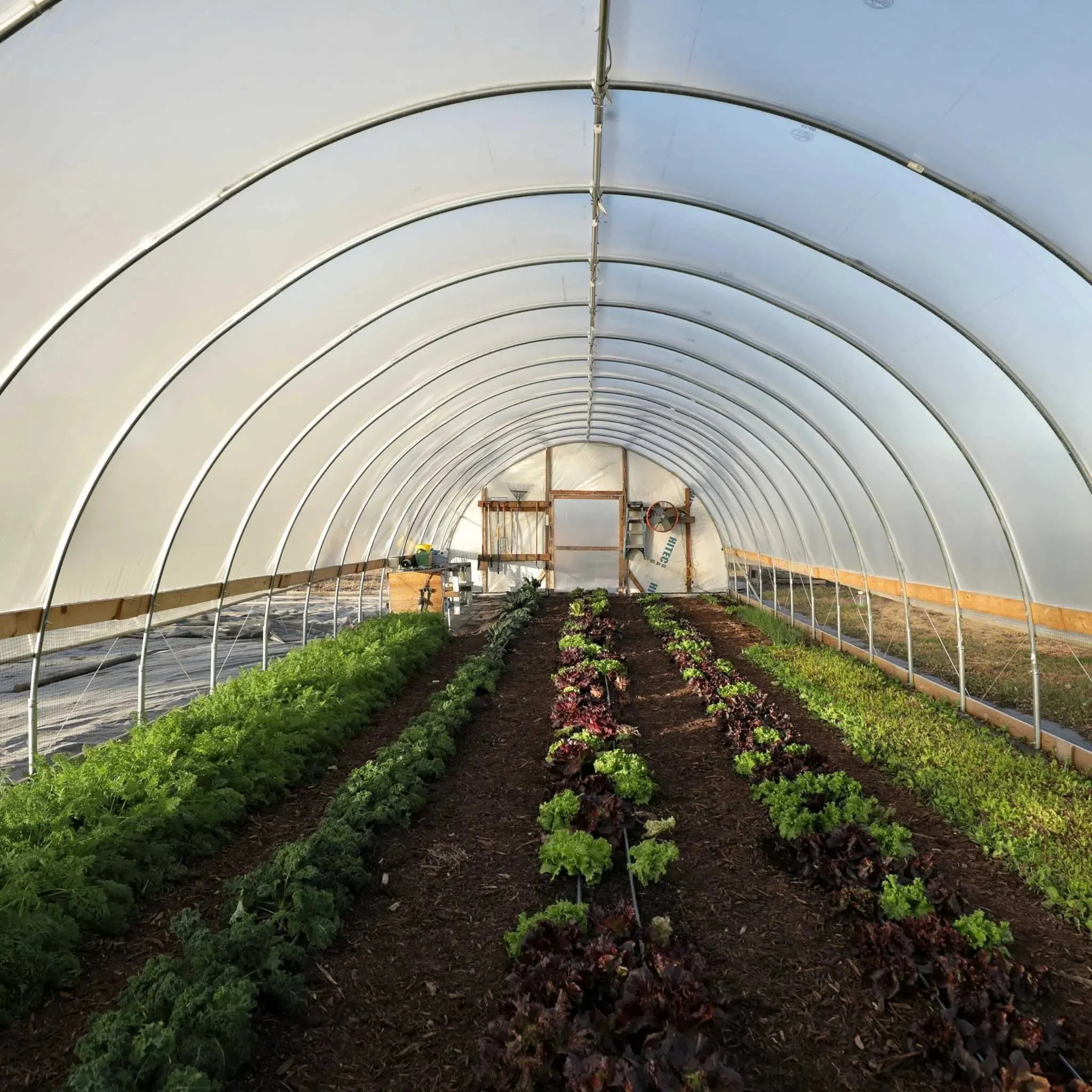 DIY Greenhouse Kit - 16 ft Wide Hoop House