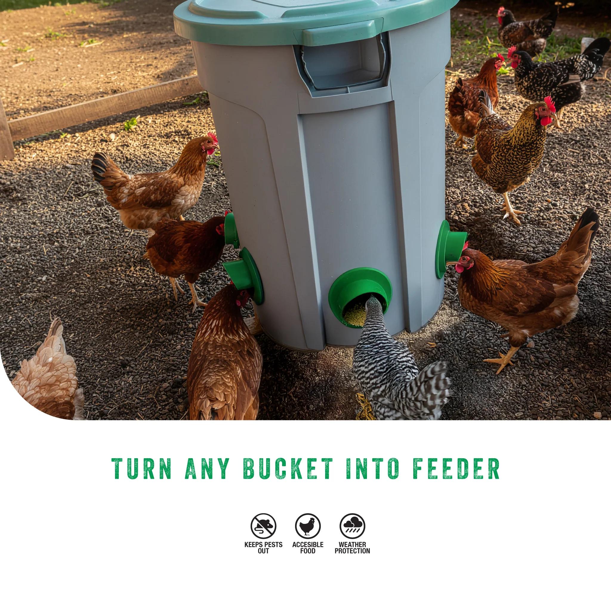 DIY Poultry Feeder Set (85 mm) - Image 3
