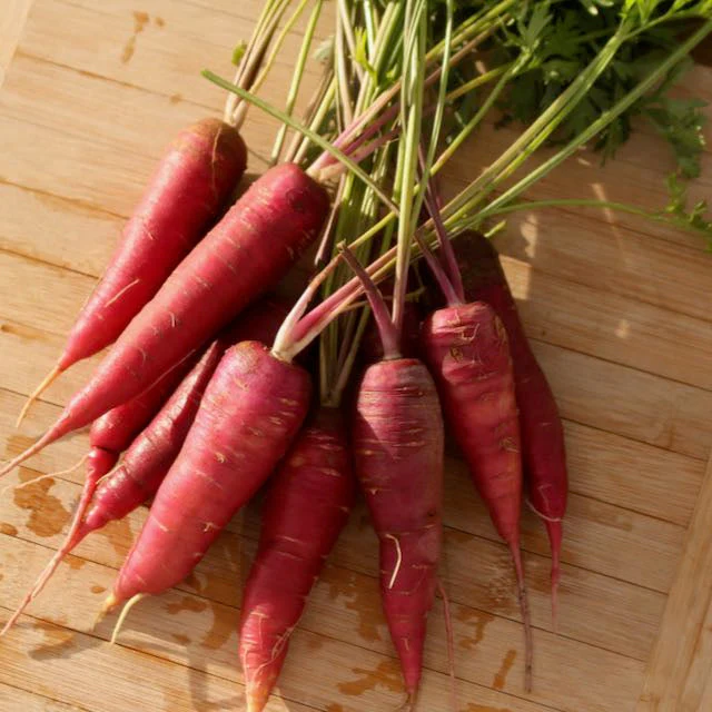Dragon Carrot - Image 3