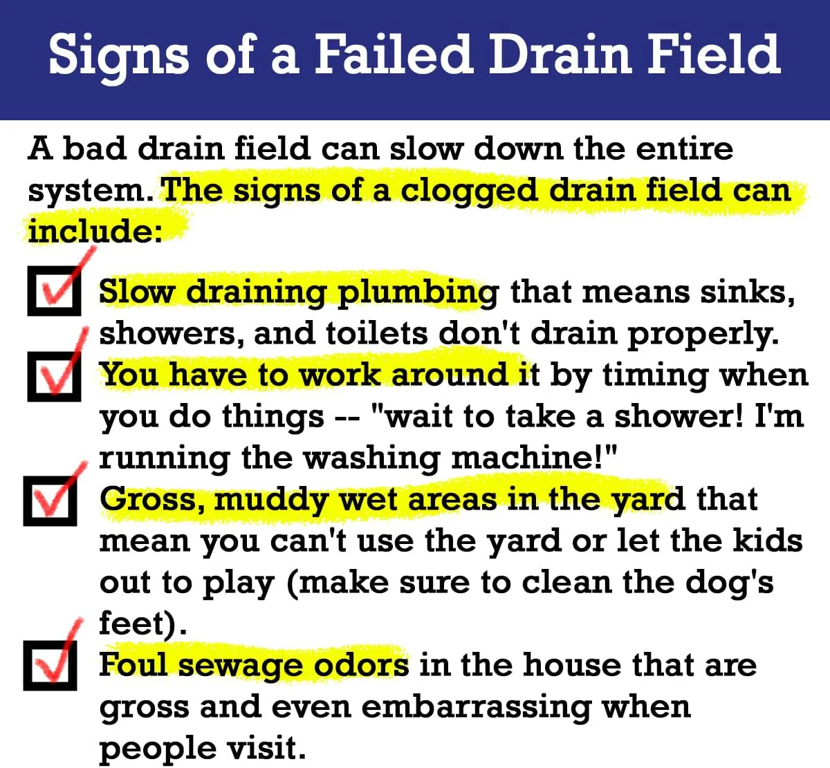 Drain Field Cleaner Tablets - Image 3