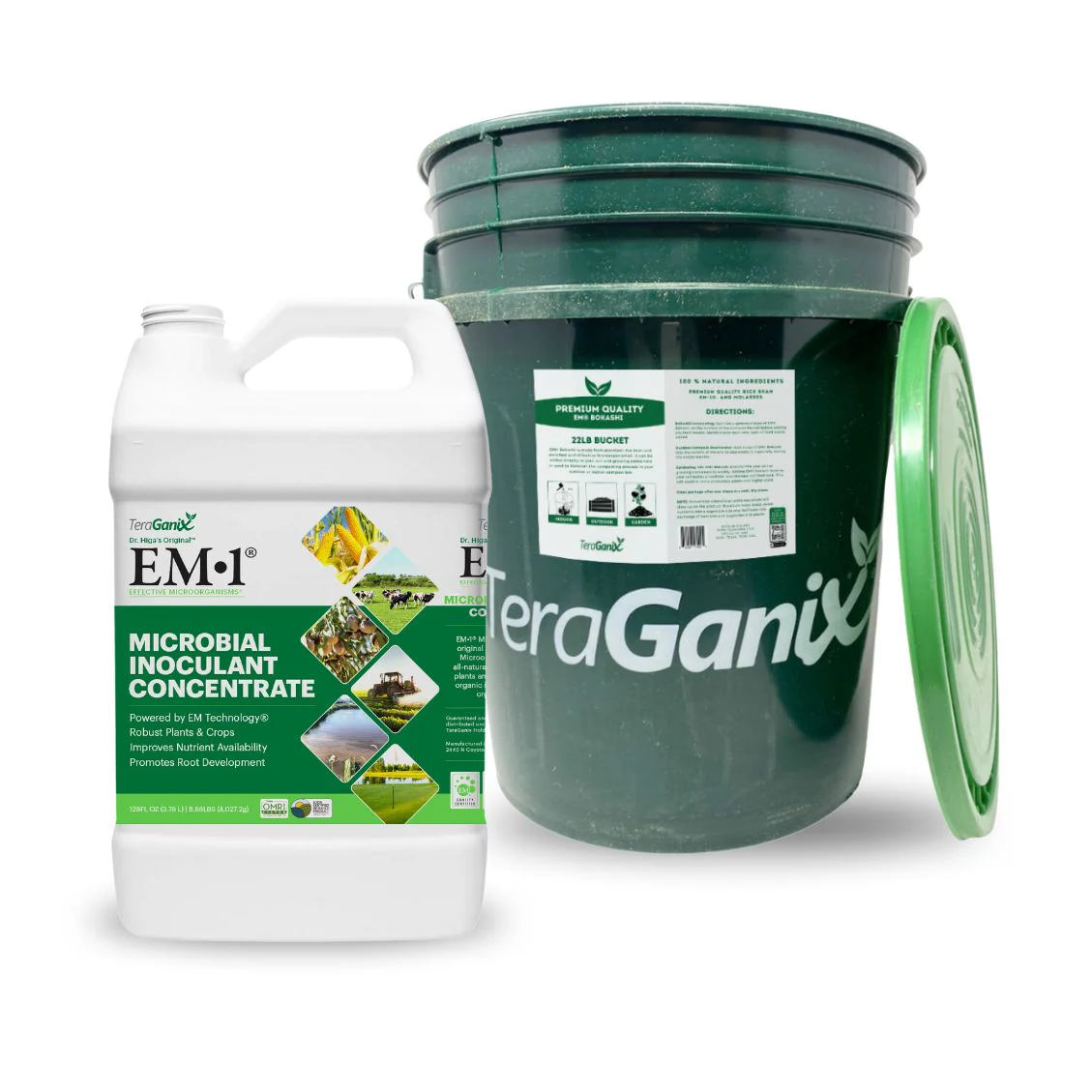 Dynamic Garden Duo - Image 4