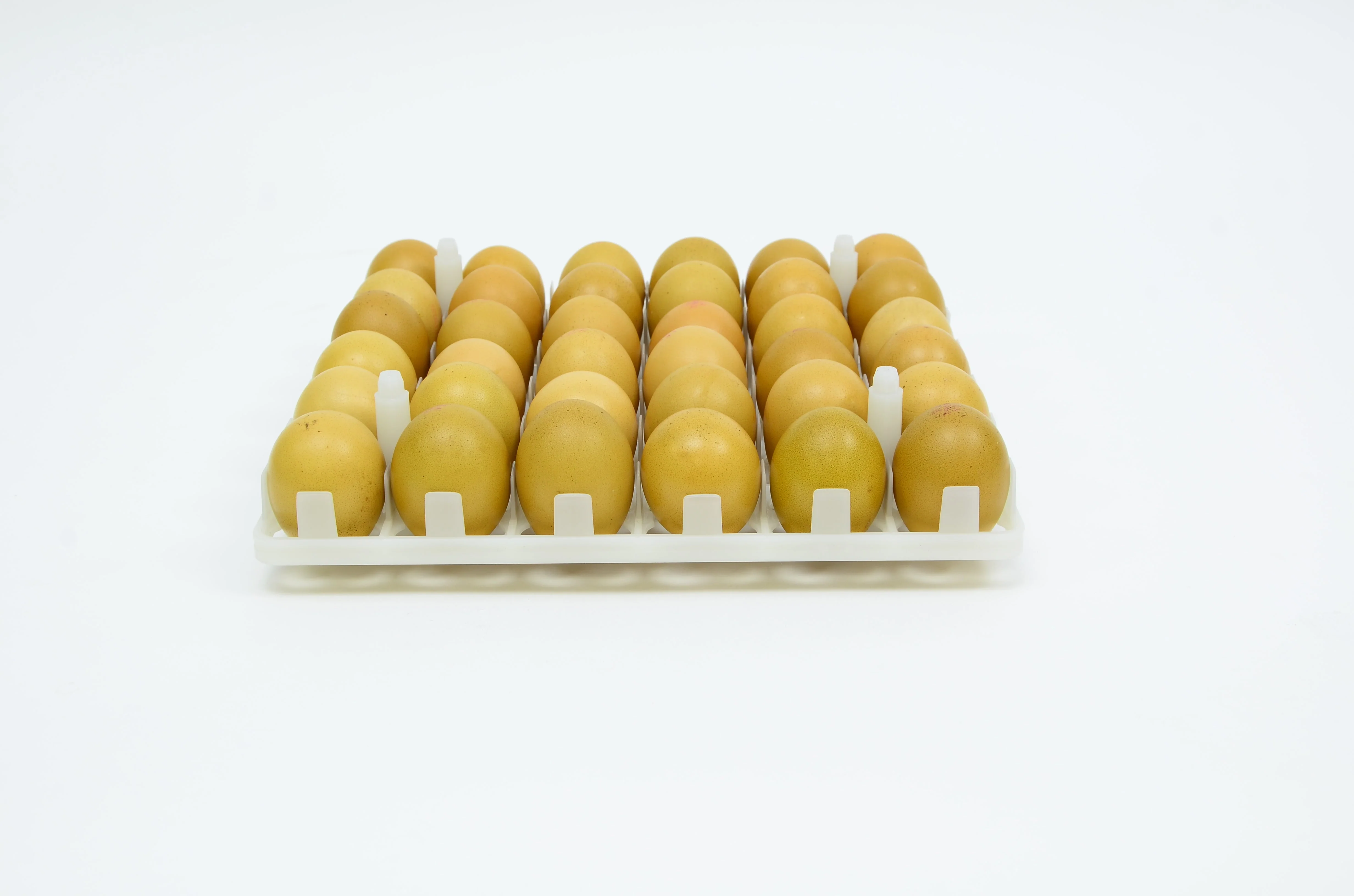 Egg Setter Tray - Chicken - 36 Eggs - Image 2