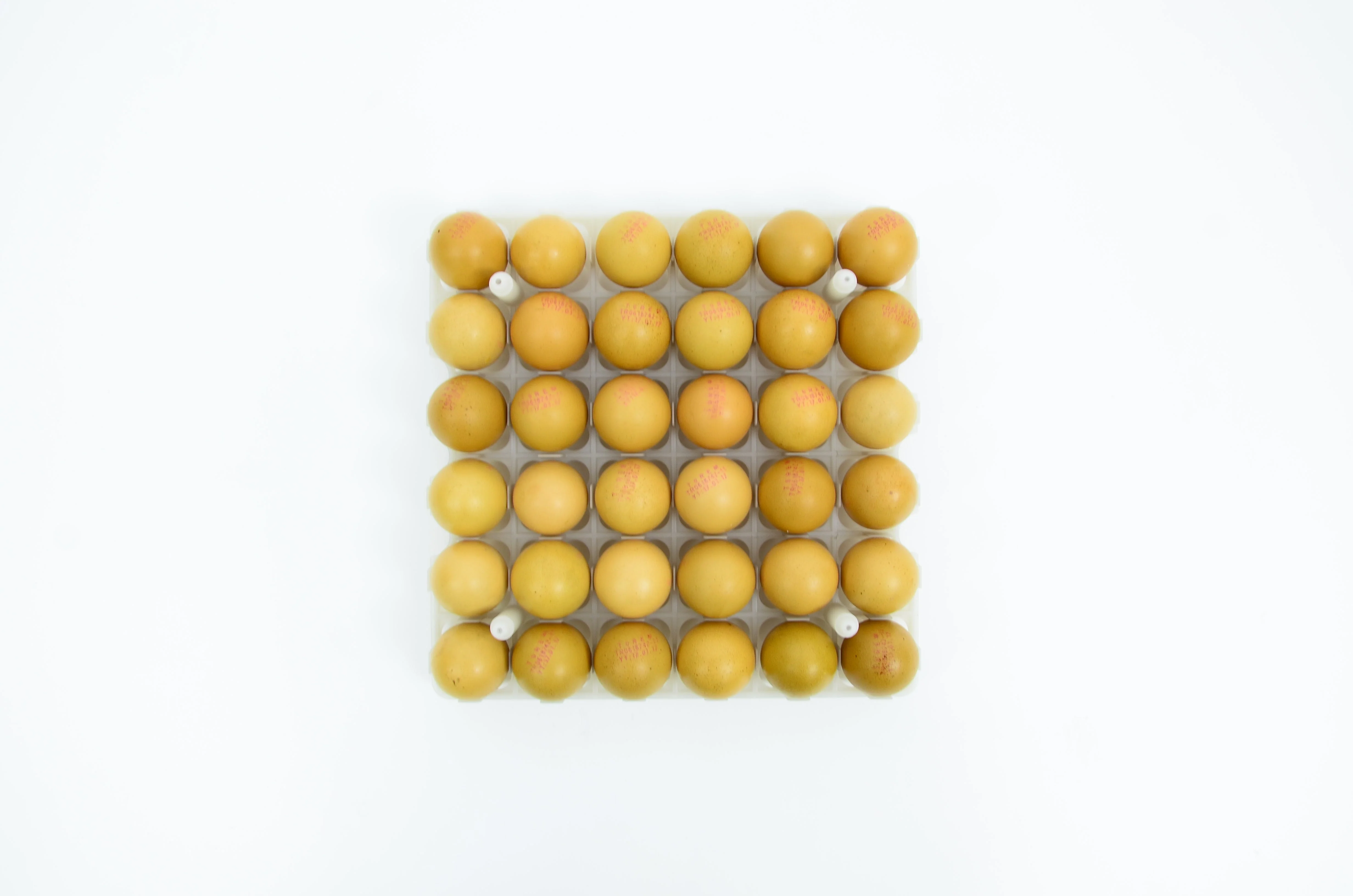 Egg Setter Tray - Chicken - 36 Eggs - Image 3