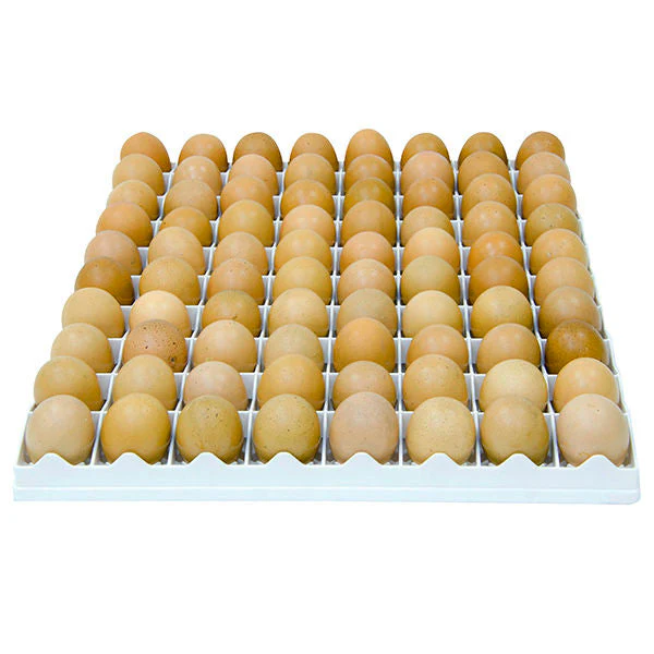 Egg Setter Tray - Chicken - 80 Eggs - Image 3