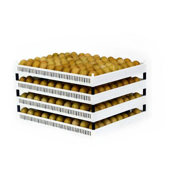 Egg Setter Tray (Flexy80ST) - Image 2