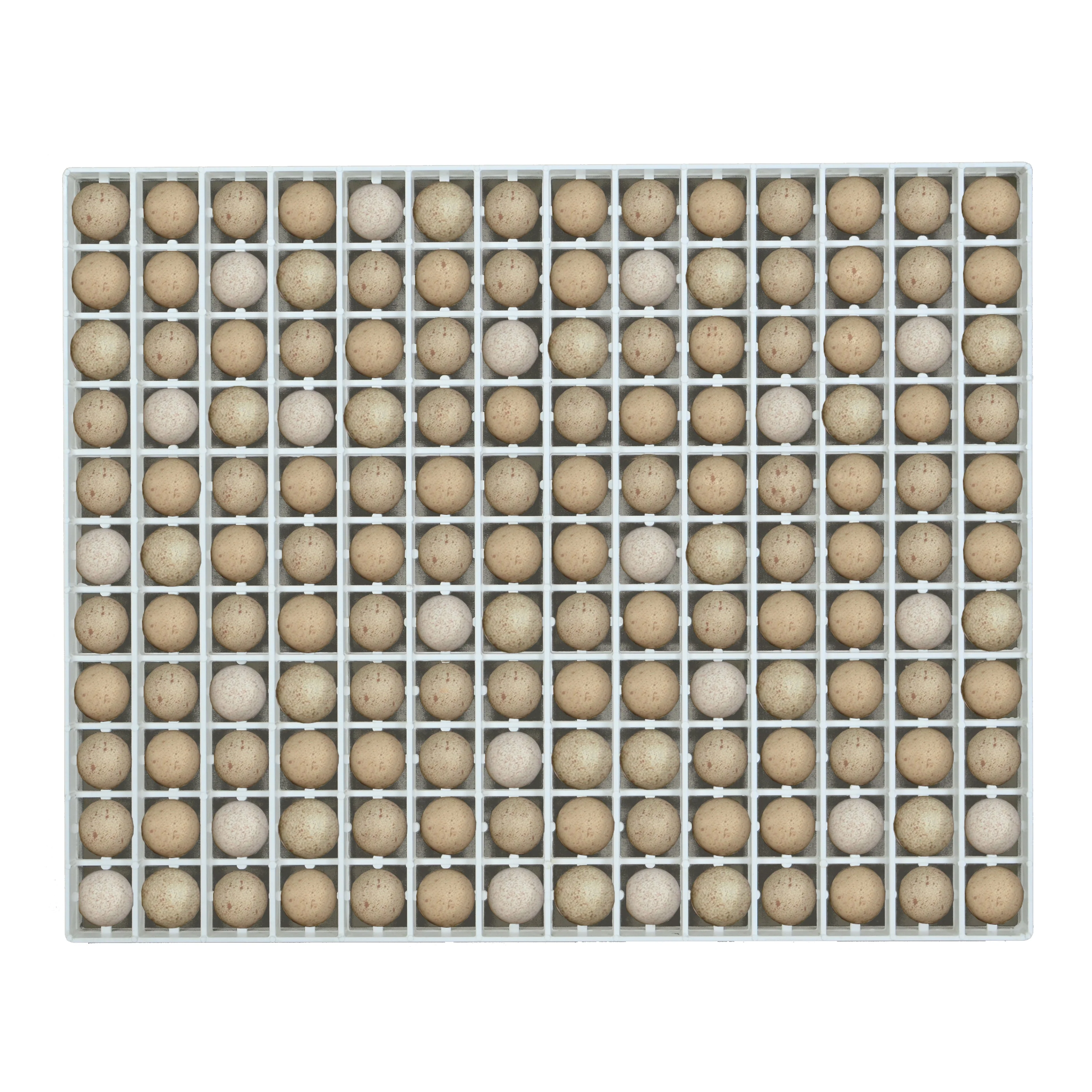 Egg Setter Tray - Partridge - 154 Eggs