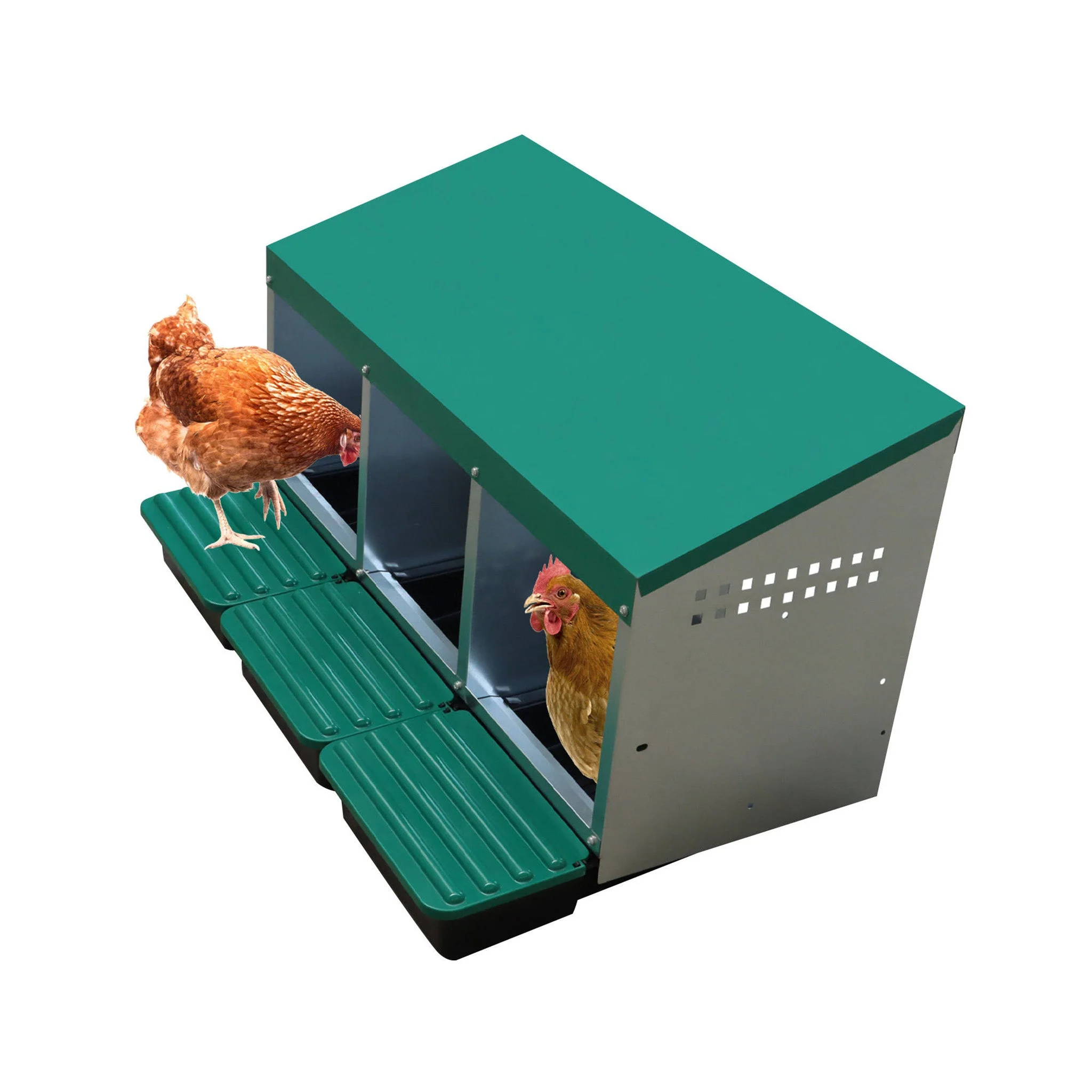 EggHouse Galvanized Nesting Box (Up to 30 Birds) - Image 4