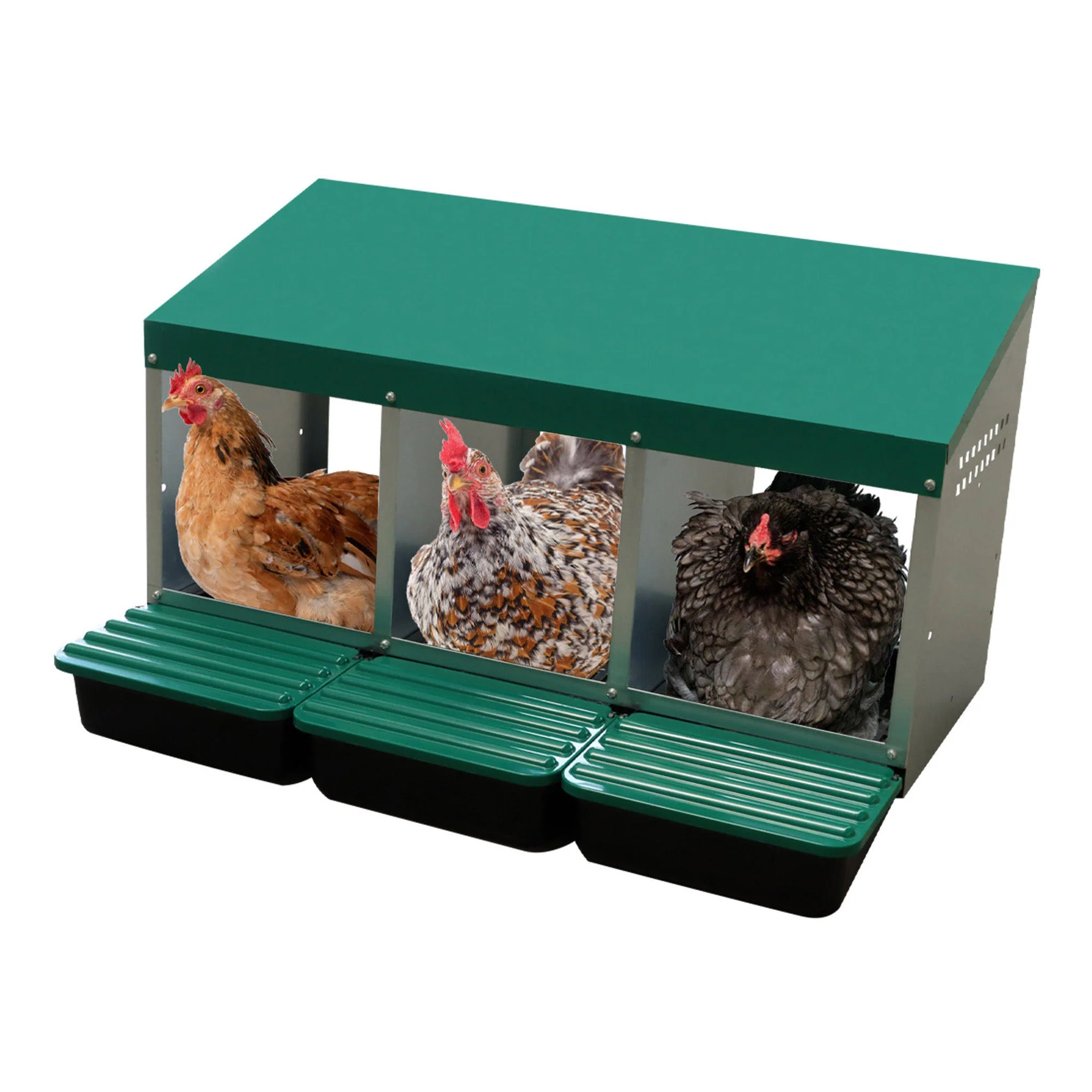 EggHouse Galvanized Nesting Box (Up to 30 Birds) - Image 5