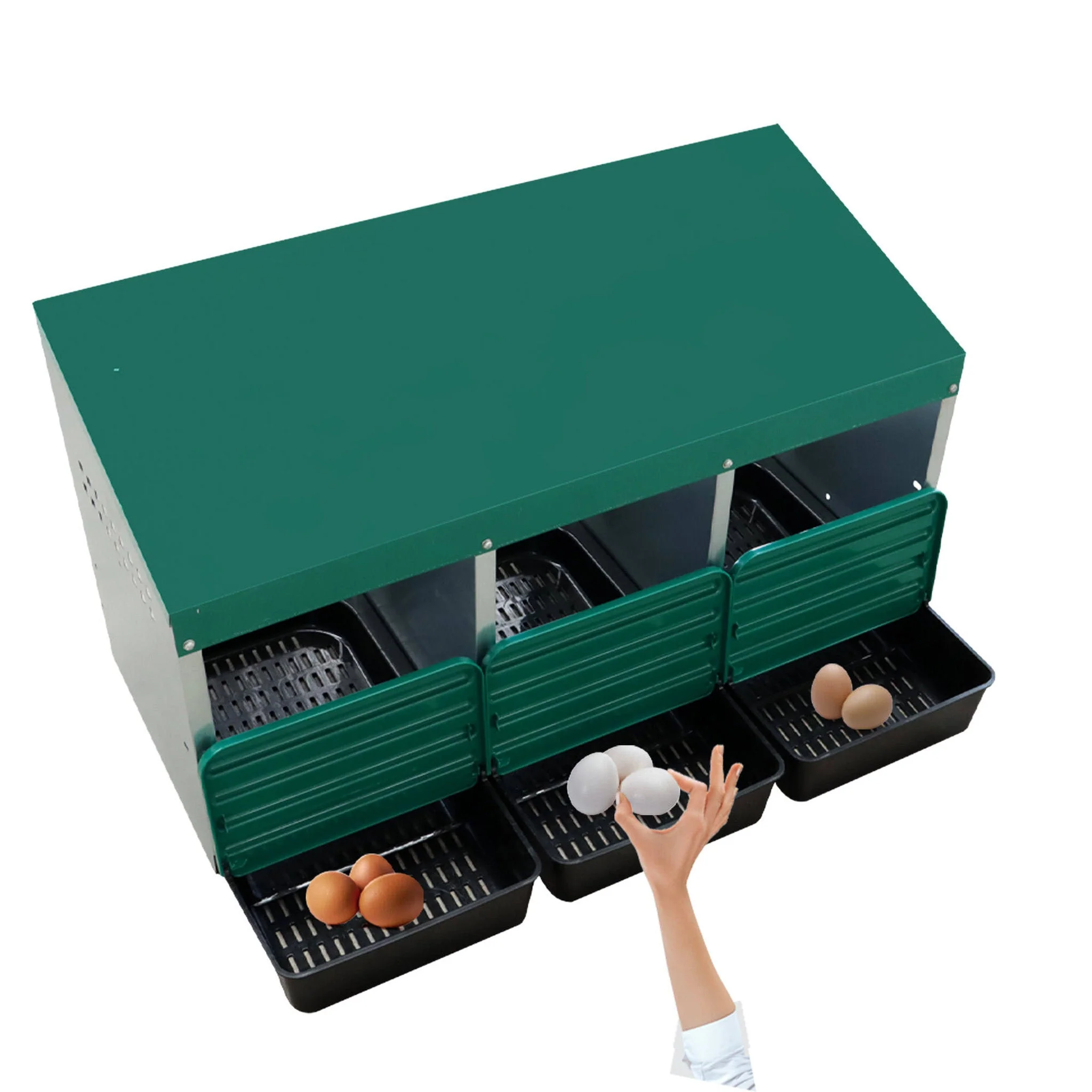 EggHouse Galvanized Nesting Box (Up to 30 Birds) - Image 7