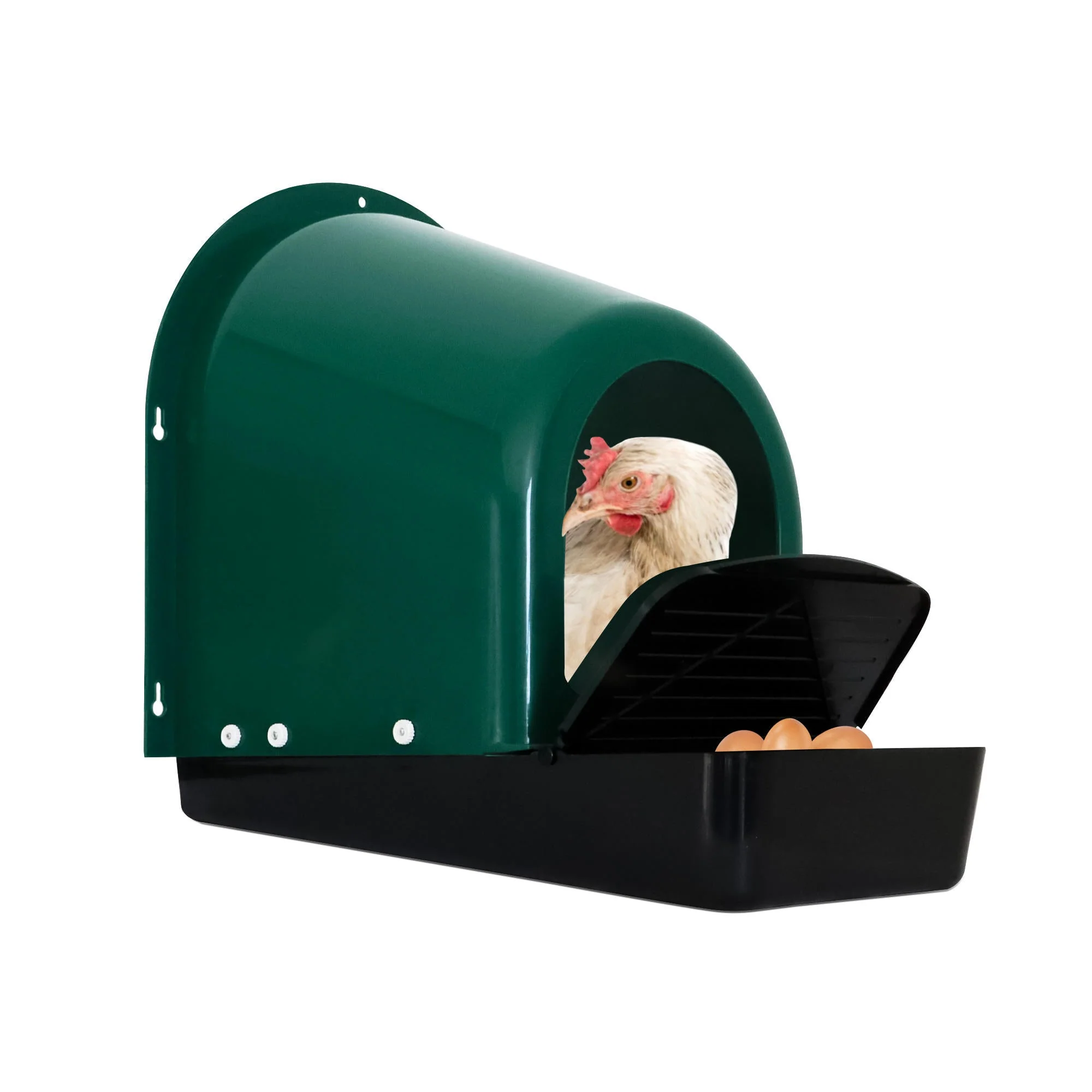 EggHouse Roll-Out Nesting Box Wall Mount up to 10 Birds - Image 8