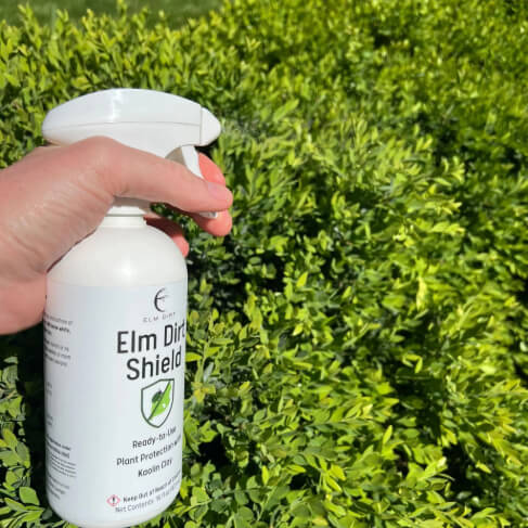 Shield, All Natural Pesticide - Image 2