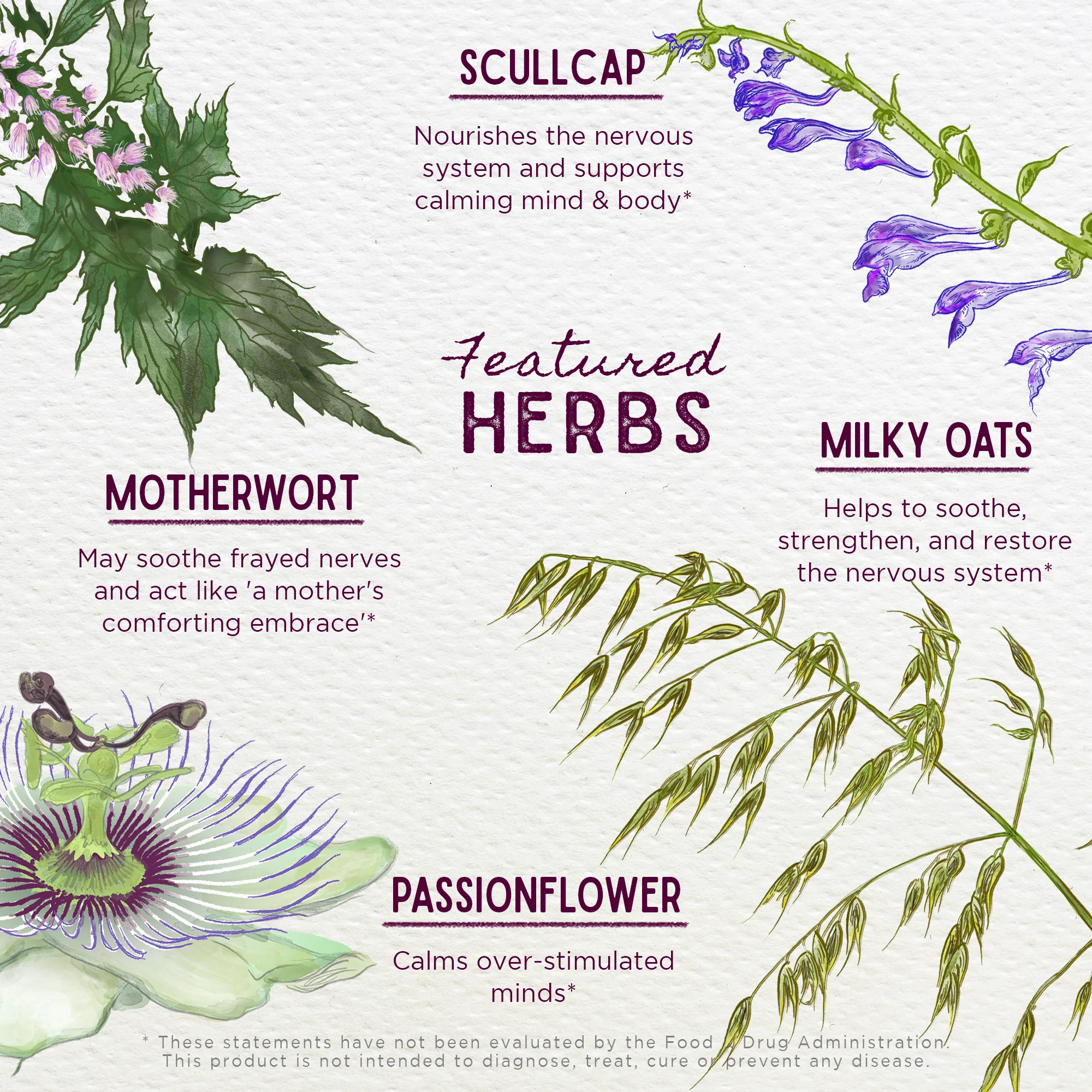 Emotional Ally: A Big Herbal Hug - Image 6