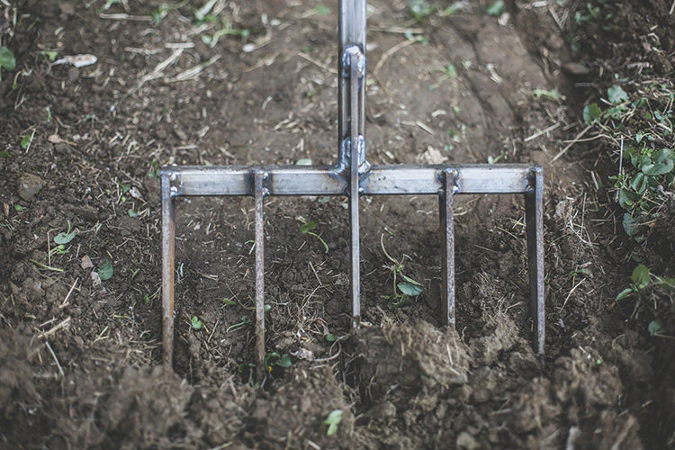 5-TINE MINI FORK WITH T-HANDLE - Image 3