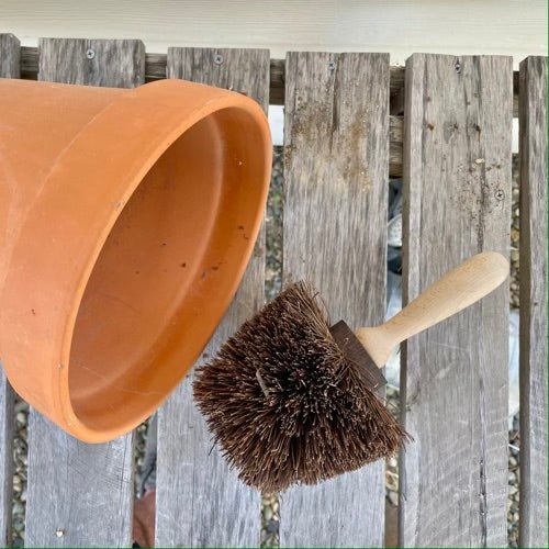 Flower Pot Brush - Made in Germany - Image 5