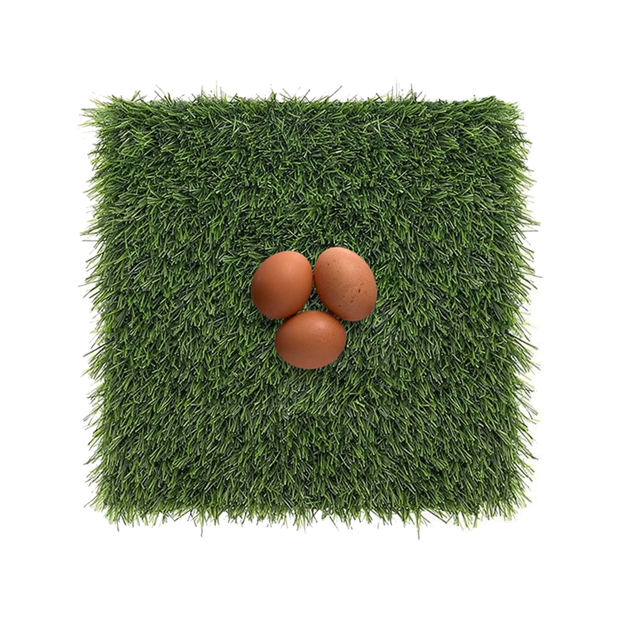 Formex Chicken Coop Kit with Feeder, Waterer, and Nest Box Liners - Image 3