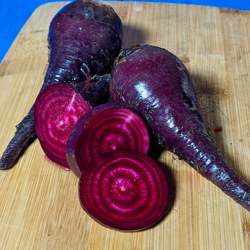 German Lutz Beets (Winterkeeper Beets) - Image 4