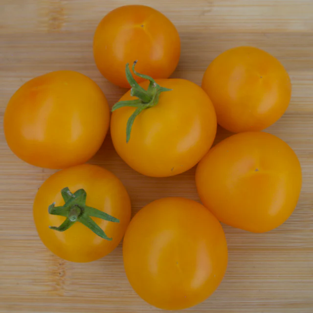 Gold Nugget Tomato - Image 2