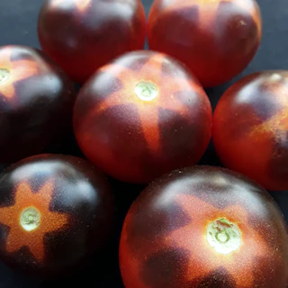 Goluboy Les (Blue Forest) Tomato - Image 2