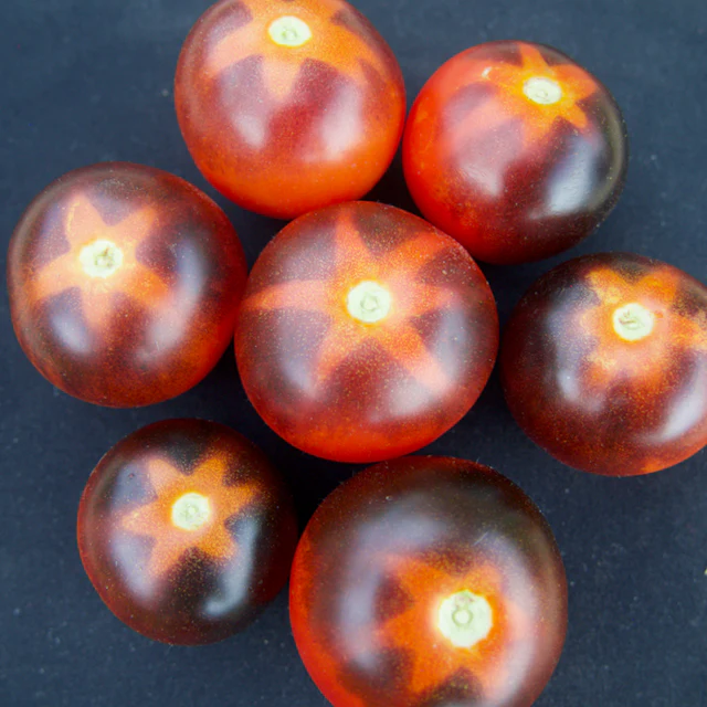 Goluboy Les (Blue Forest) Tomato - Image 3