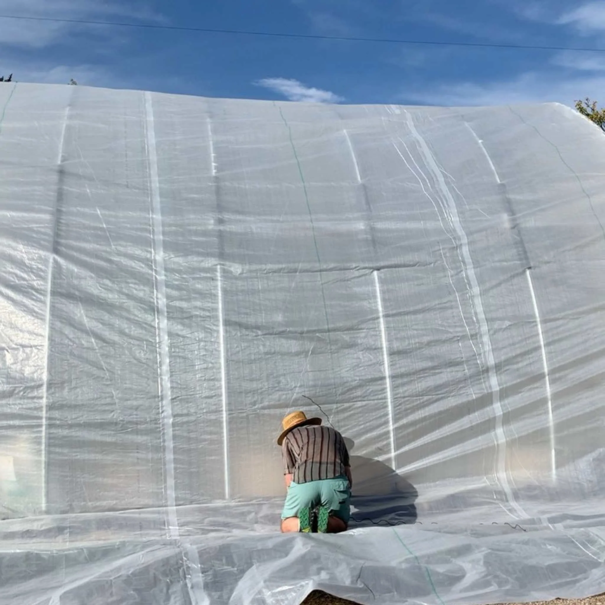Greenhouse Woven Plastic 11 mil- Solarig 182 - Image 3
